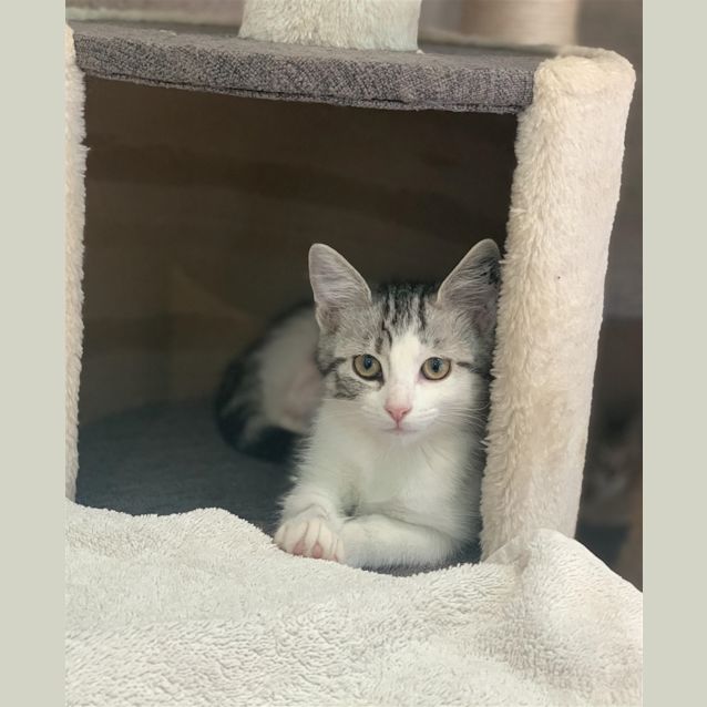 Photo of Ciri
