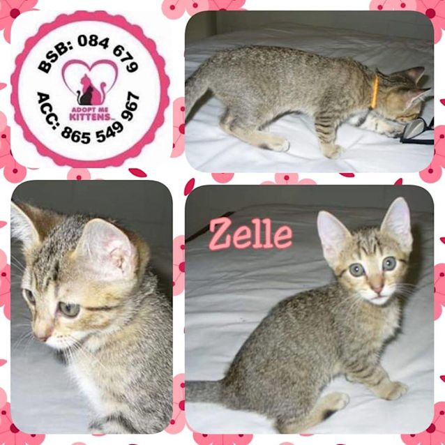 Photo of Zelle