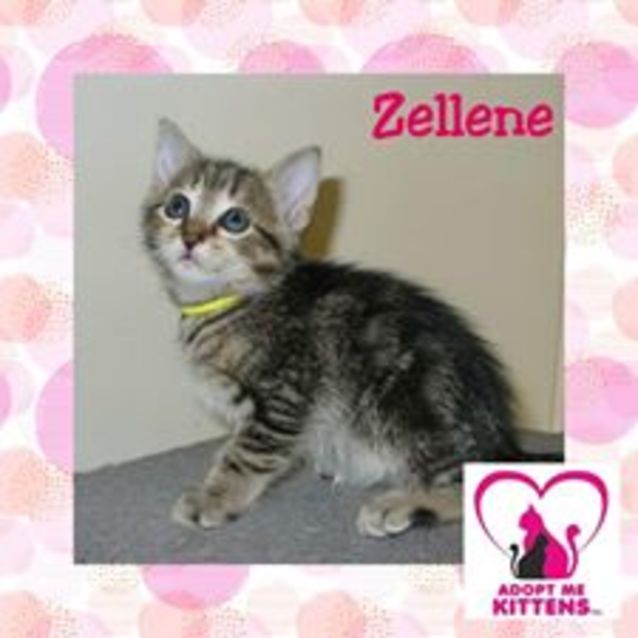 Photo of Zellene
