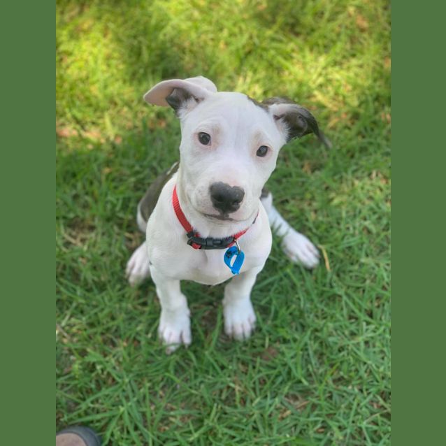 Photo of Ivy 
