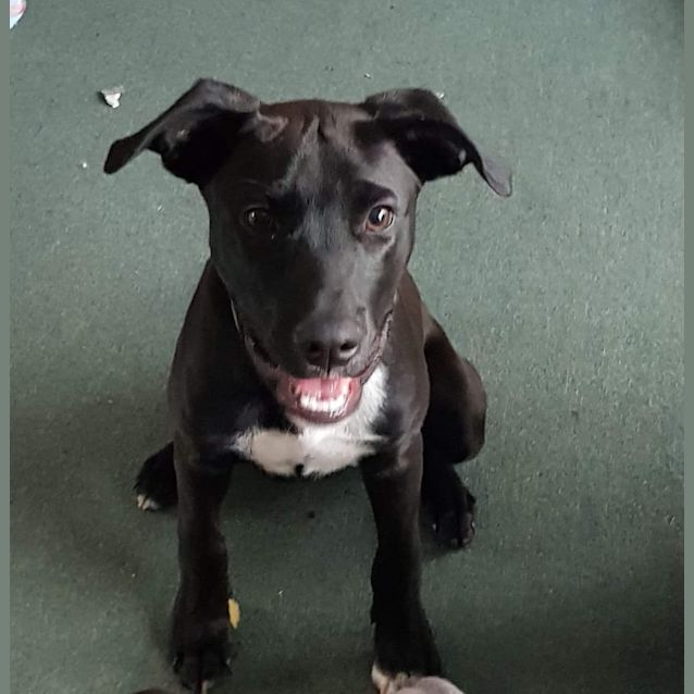 Photo of Cariso