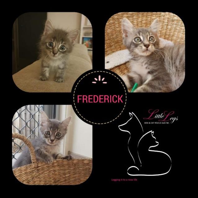 Photo of Frederick