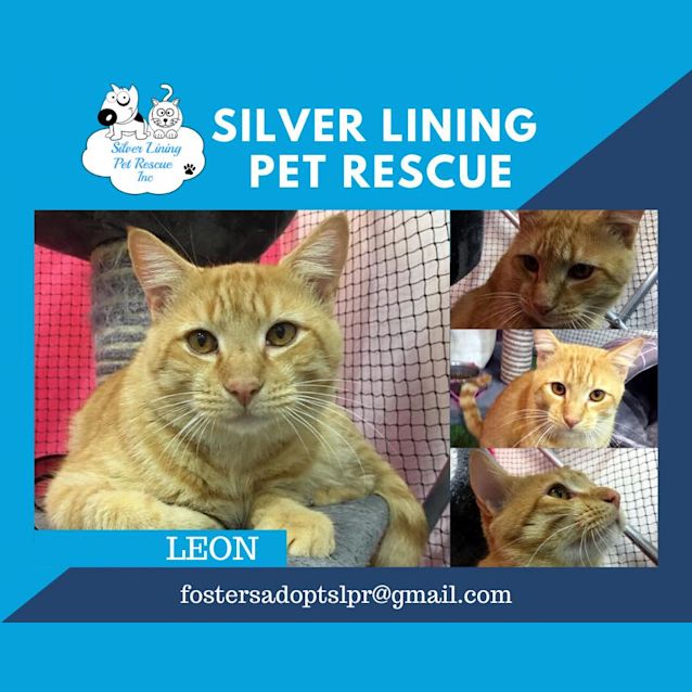Photo of Leon