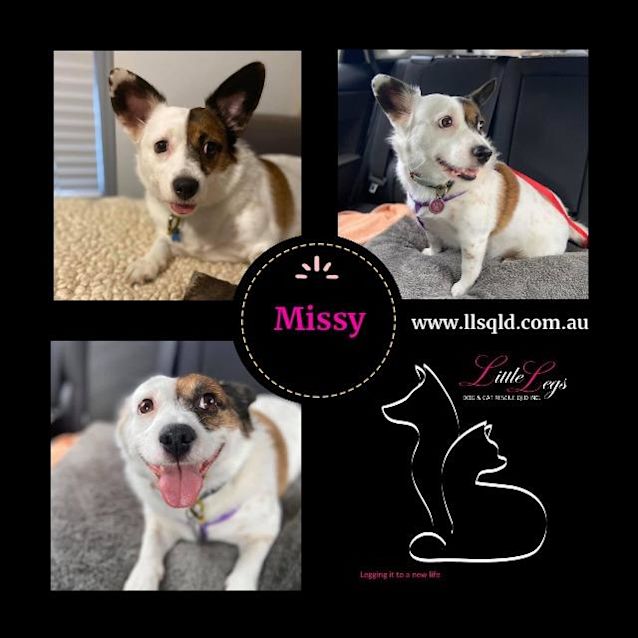 Photo of Missy