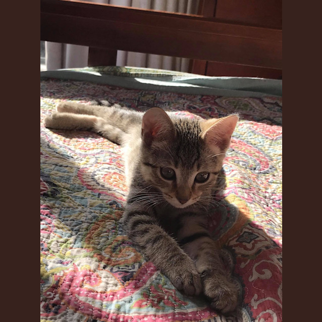 Photo of Nod