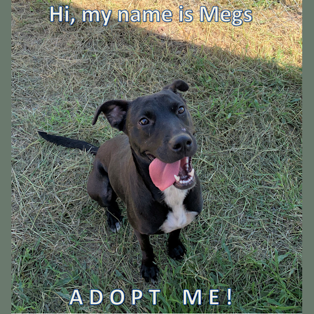 Photo of Megs