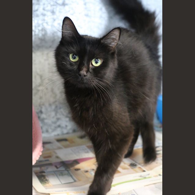 Photo of Gemima