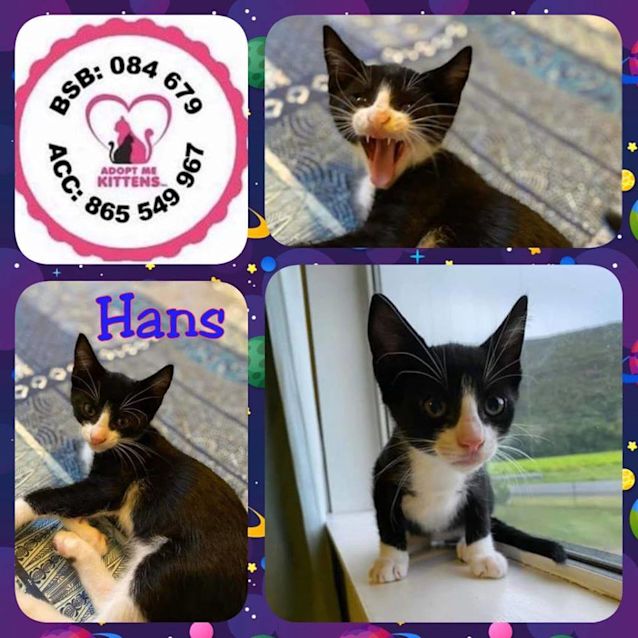 Photo of Hans