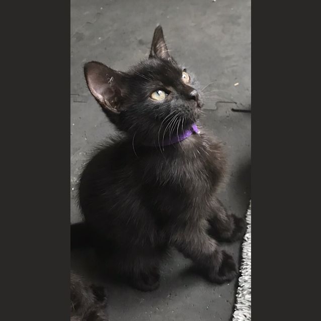 Photo of Jersey 🥰