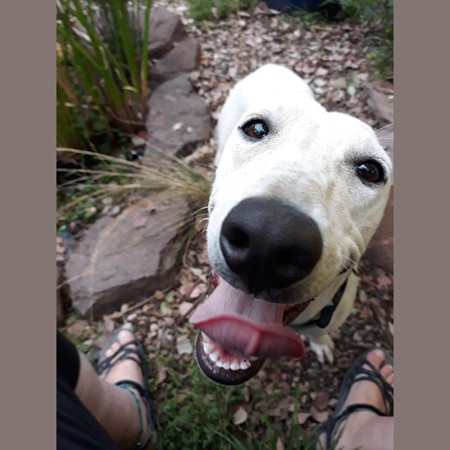 Photo of Snoopy W 🧡