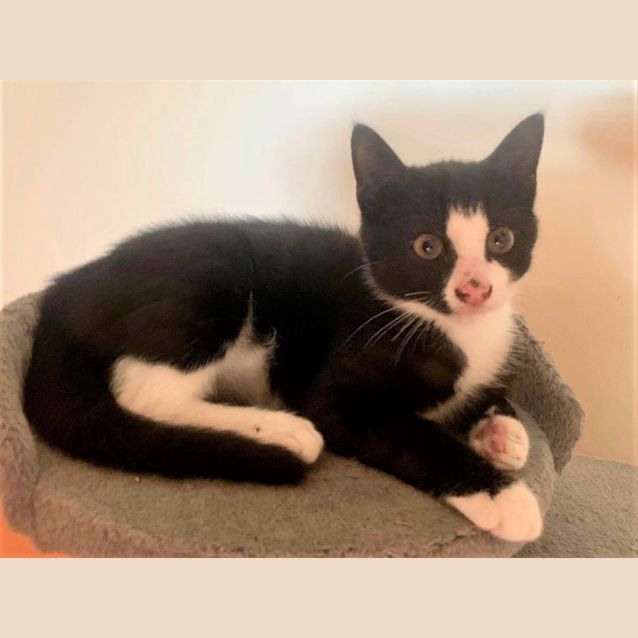 Photo of Sooty