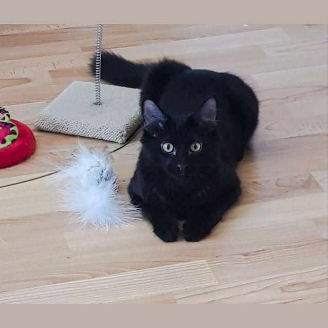 Photo of Bear ❤