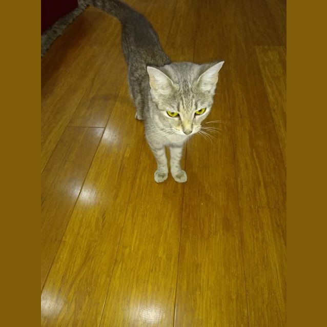 Photo of Marble 