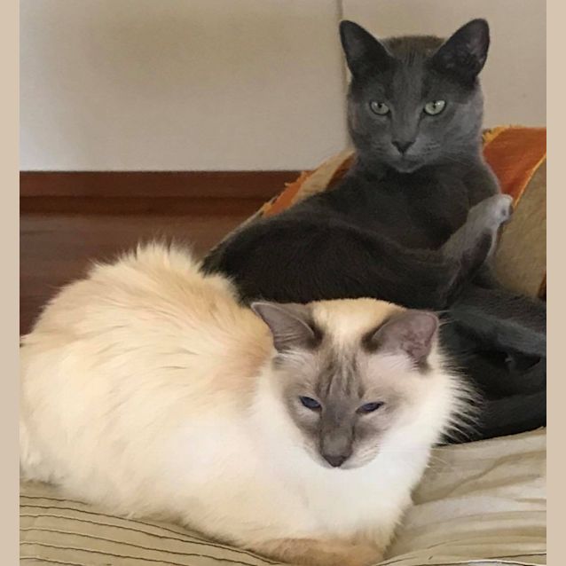 Photo of Bonded Pair 