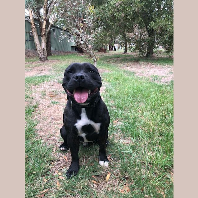 Photo of Jax