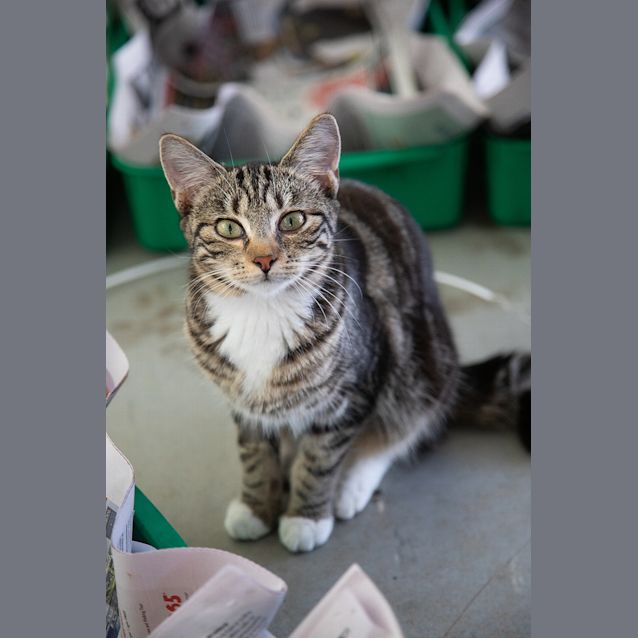 Photo of Tiggi