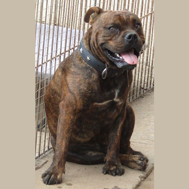 Photo of Buddy13