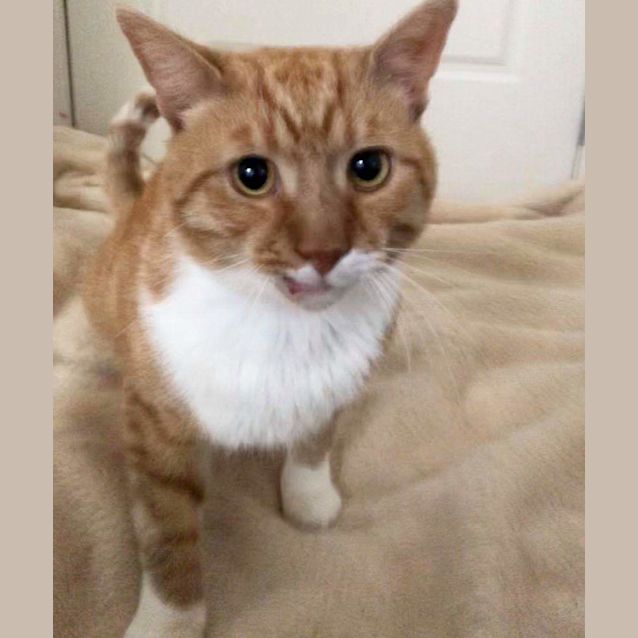 Photo of Claude ❤