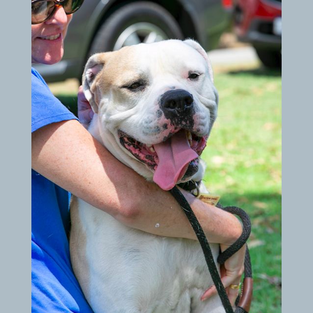 Photo of Memphis Dl2349