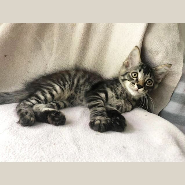Photo of Darby 