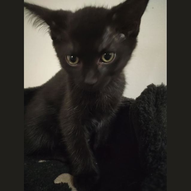 Photo of Flopsy 