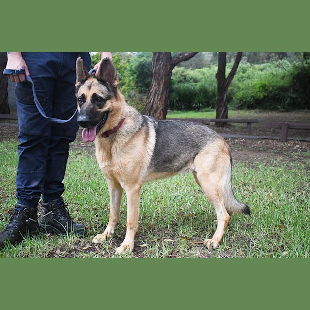 Photo of Princess   Meet & Greet