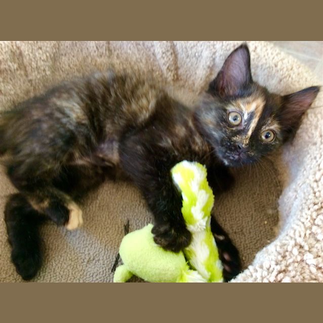 Photo of Miss Squiggle