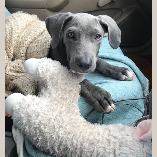 Photo of Oakley 