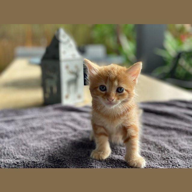Photo of Harry
