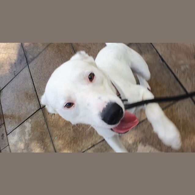 Photo of Tommy Dl2416