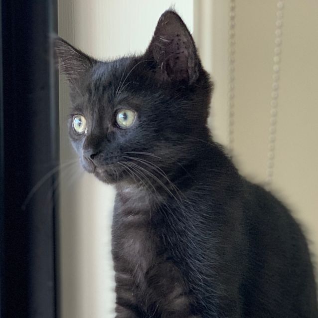 Photo of Holly ❣️