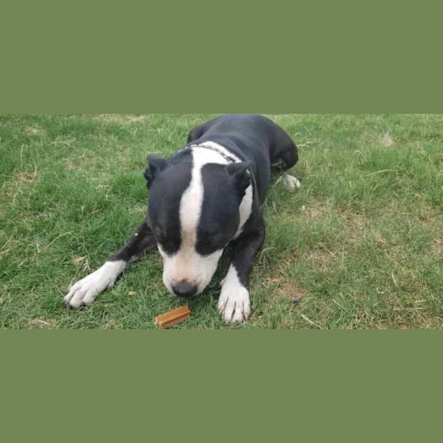 Photo of Boof And Whiskey 