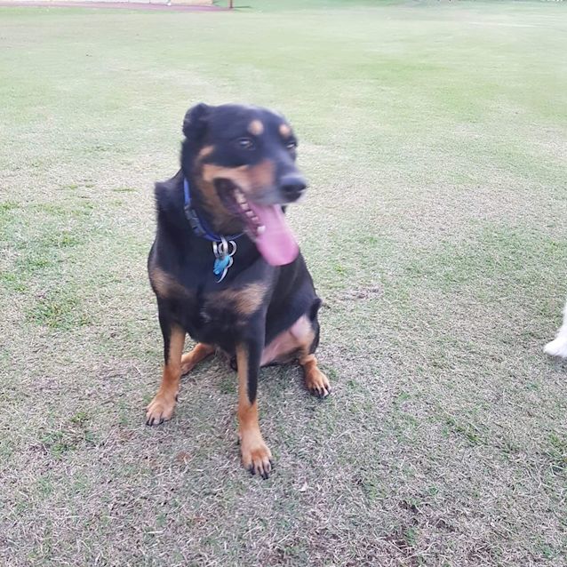 Photo of Alpha Dl2426