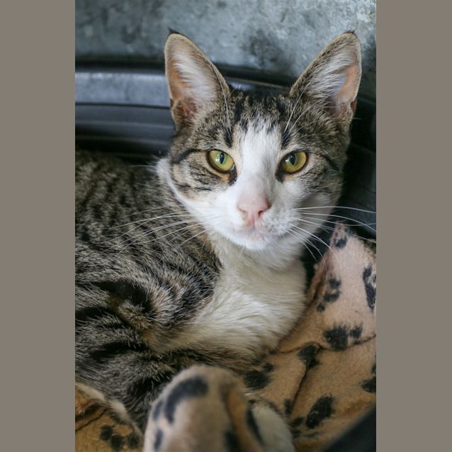 Photo of Wilbur