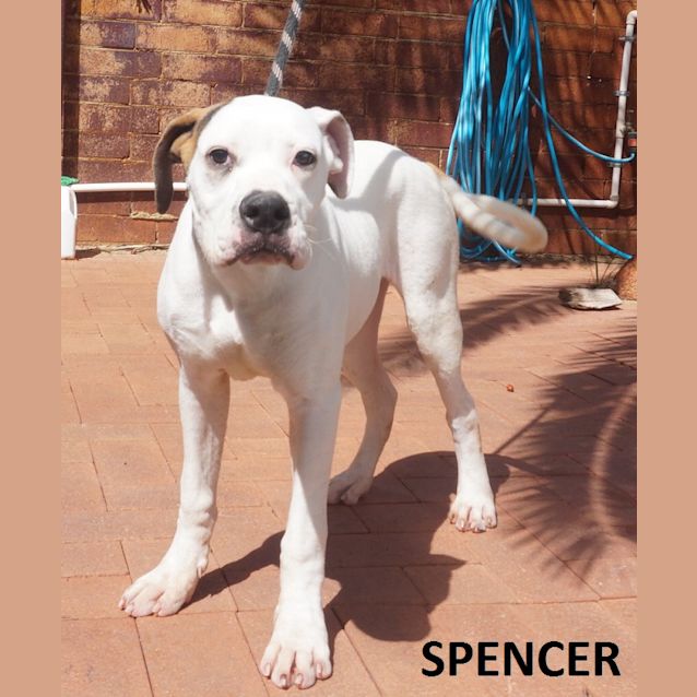 Photo of Spencer
