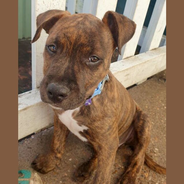 Photo of Swayze