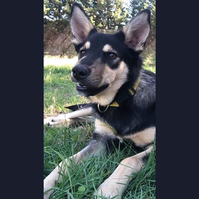 Photo of Finlo 