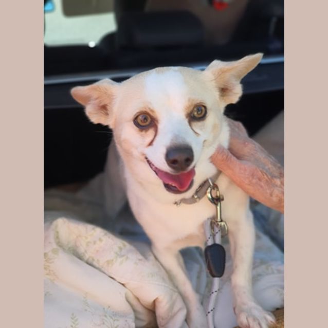 Photo of Pippa