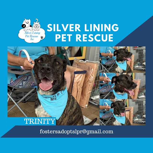 Photo of Trinity