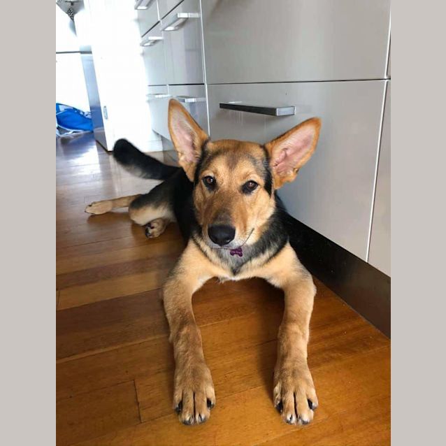 Photo of Luna
