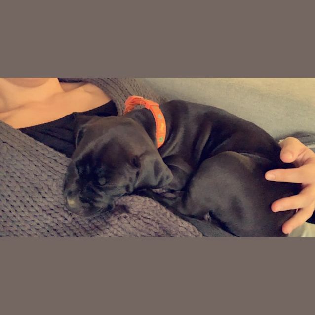Photo of Willow 