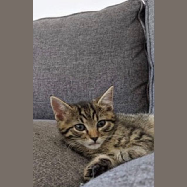 Photo of Geralt