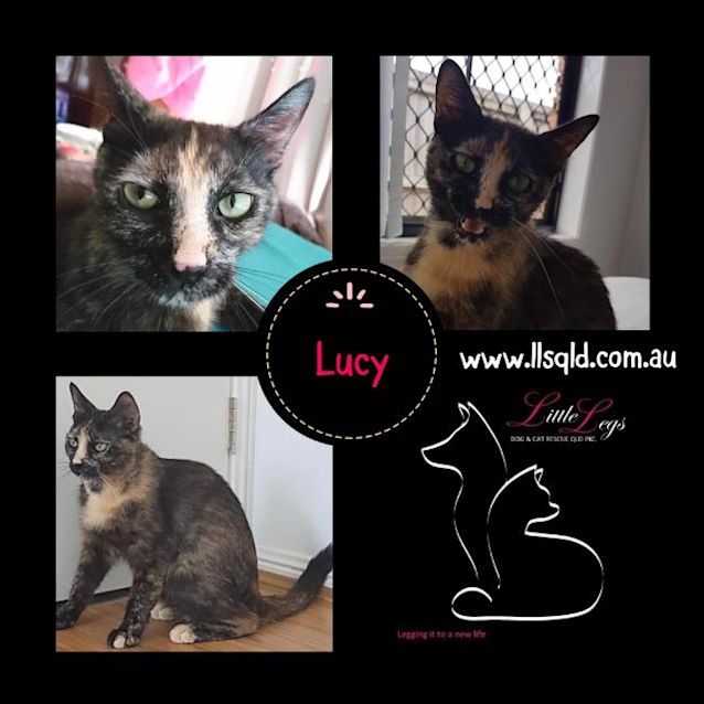 Photo of Lucy