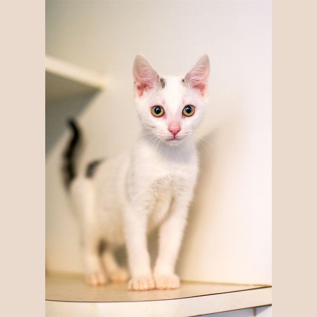 Photo of Nora