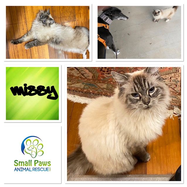 Photo of Missy