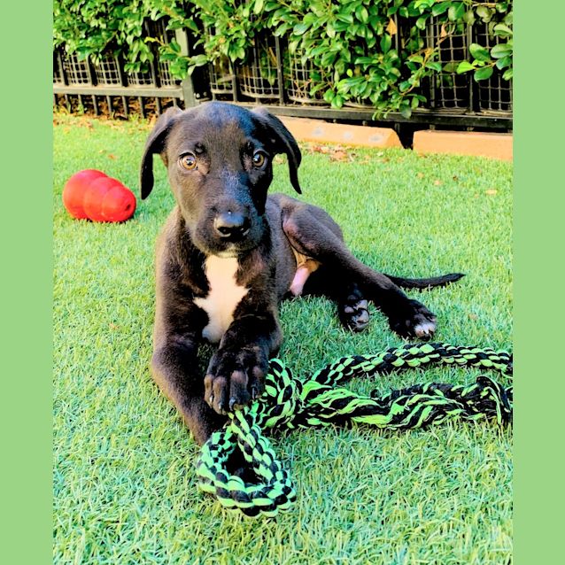 Photo of Finn