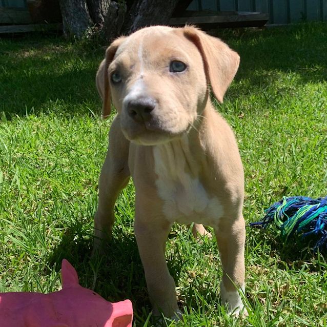 Photo of Ollie Jnr 🦒