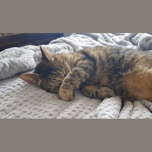 Photo of Duchess