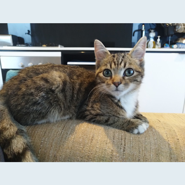Photo of Leia 