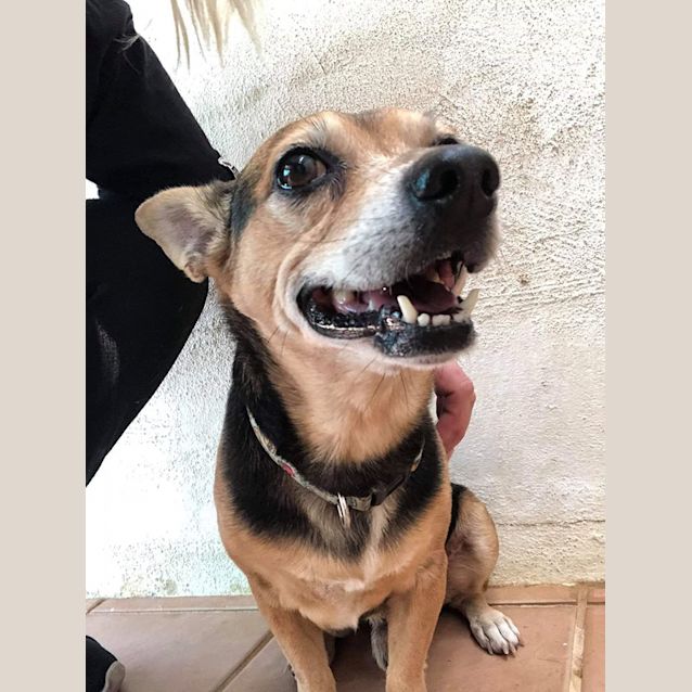 Photo of Junior Dl2422